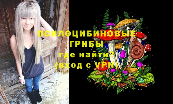 jwh Бородино