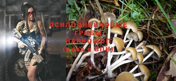 спиды Бронницы